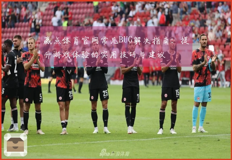 赢点体育官网常见BUG解决指南：提升游戏体验的实用技巧与建议