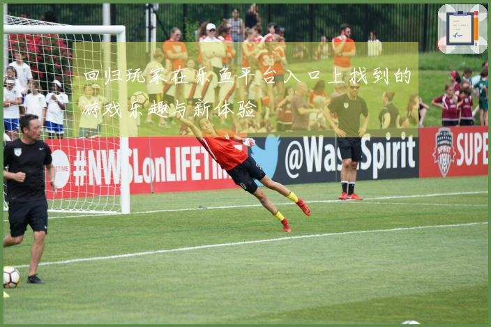 回归玩家在乐鱼平台入口上找到的游戏乐趣与新体验