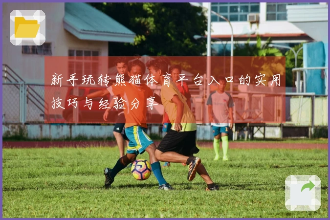新手玩转熊猫体育平台入口的实用技巧与经验分享